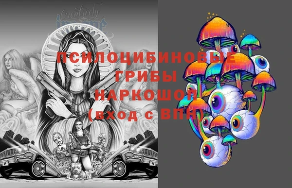 PSILOCYBIN Богородицк