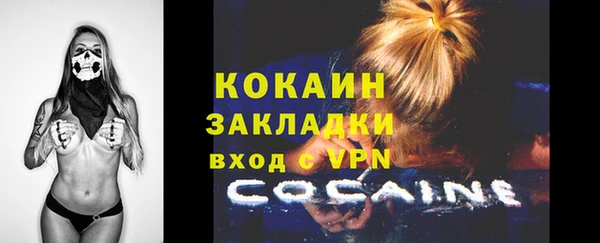 PSILOCYBIN Богородицк