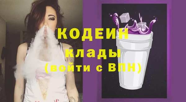 2c-b Инсар