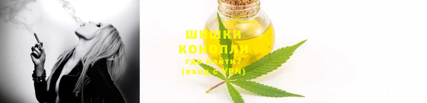 гидропоника Богородск