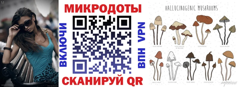Псилоцибиновые грибы Magic Shrooms  цена наркотик  Завитинск 