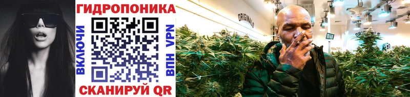Бошки марихуана SATIVA & INDICA Завитинск